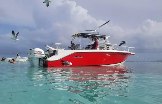 Private Boat Trip Icaco/Palomino | 31ft Angler Villa Marina Fajardo