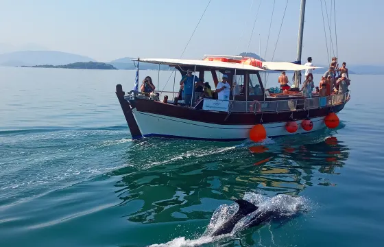 Traditional Boat Dolphin Watching Cruise – Amvrakikos Gulf (Preveza)