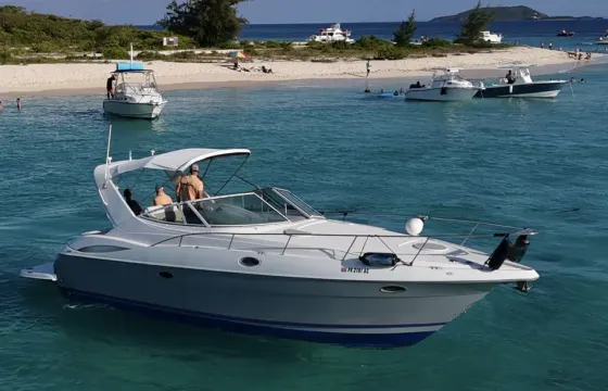 Cruiser 38 Palomino and Icacos Dream Boat