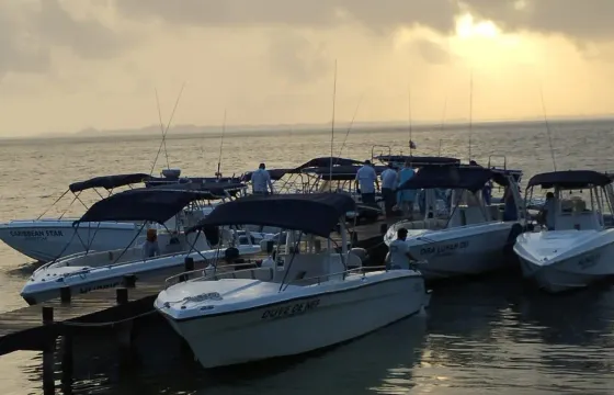 36ft to Isla Contoy & whale sharks (just seasonal)