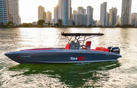 Singlar 29ft Special Edition Center Console with bathroom for 8 people