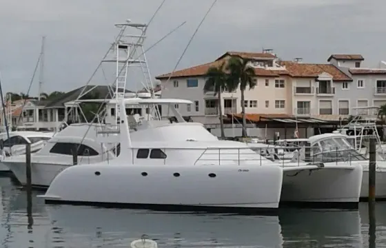 Power 50' Catamaran in Punta Cana, La Altagracia