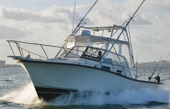 Best Fishing Trip aboard 35ft Bertram Sportfishing Yacht in Cancún