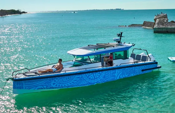 Island Hop to Egmont Island and Passage Key...Dolphin Tour...Luxury Powerboat