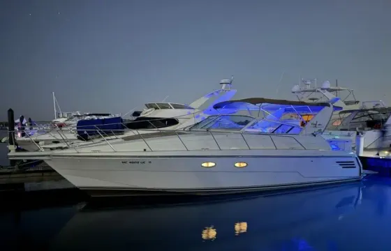 42ft Trojan Party Yacht Chicago for 12 Guests Every Occasion