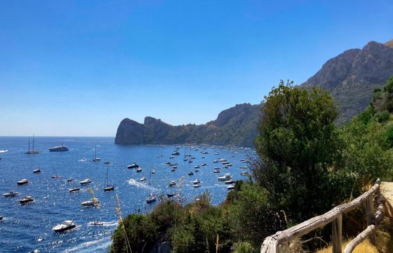 Luxury Tour Experience in Positano and Capri with Mig Marine