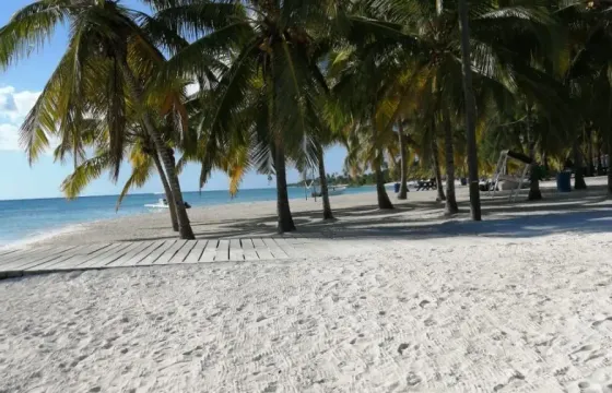Private 28 feet boat  Natural Pool SAONA or Catalina Island