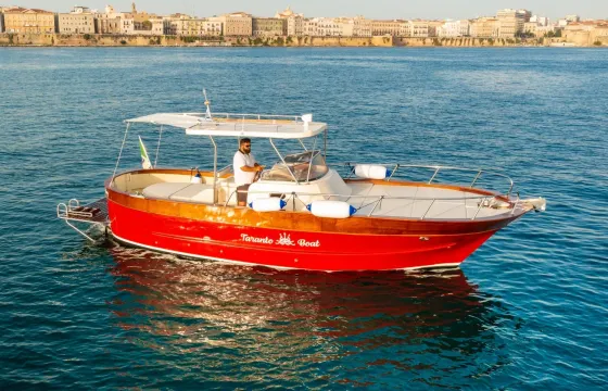 Gozzo Sorrentino 30' Motor Yacht in Taranto