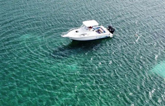 Private snorkeling and sightseeing tour with Stratos 2700 Walk Around Boat!