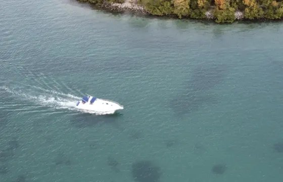 Best deal in Palm Beach! A perfect yacht, for the perfect day.