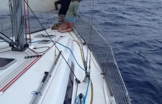 Skippered Charter on 40ft Angra Marina TERCEIRA the AZORES
