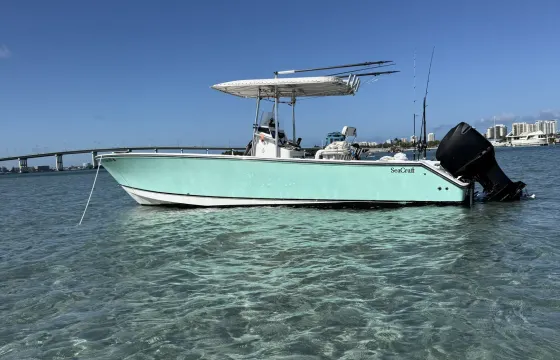 Customized Boating Adventure on the Sound | 25ft Seacraft Pacific Center Console