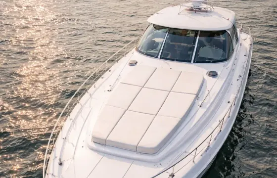 Cruise in Style on 56ft Sea Ray Express Cruiser (20 Guests)