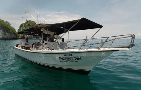 Contender Center Console 30 ft Power in Puerto Vallarta