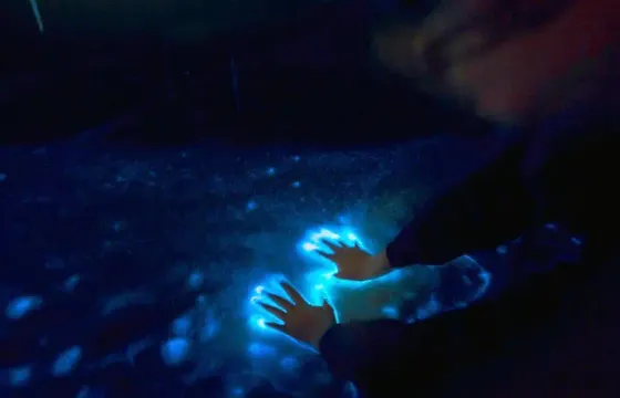 Private Sunset and Bioluminescence Tours- Cocoa Beach Up to 6 Passengers