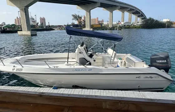 Get ready to explore on the beautiful Bahamian waters aboard 21' Sea Ray Boat