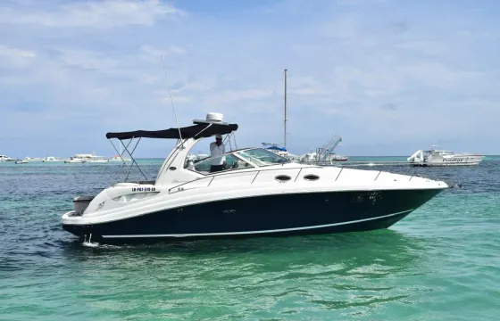 Luxury Private Yacht (37ft) Snorkeling & Natural Pool, Punta Cana