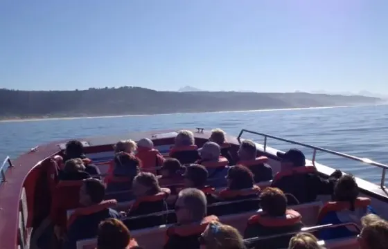 'Damara' Boat Whale & Dolphin Watching in Plettenberg Bay, Western Cape, South Africa