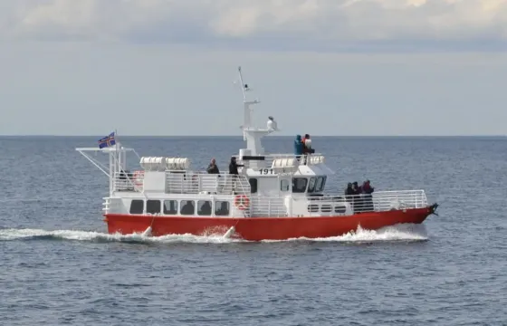 A Versatile Adventure Vessel for Sea Angling & Wildlife Tours