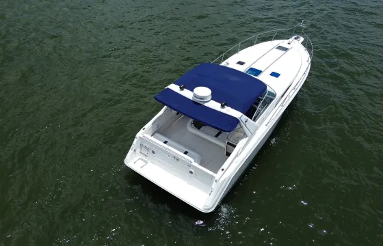Rent this beautiful 45ft Sea Ray Weekdays Promotion