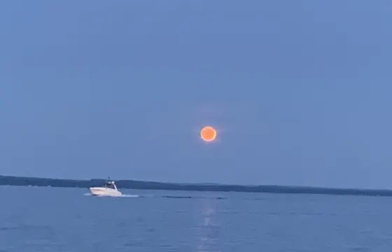 34' Captained Sea Ray Sundancer Boat in Elk Rapids