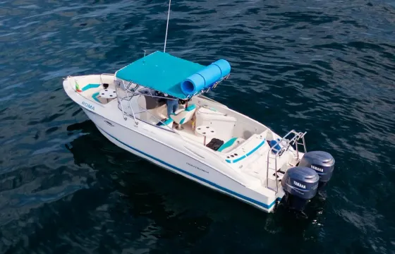 🌟 26ft Private Boat in Puerto Vallarta - 8 people🐋