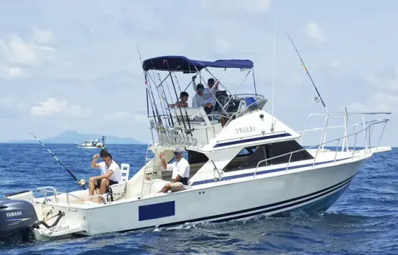 Fishing Charter on 30' Bertram Flybrige Yacht in Chicá, Panamá