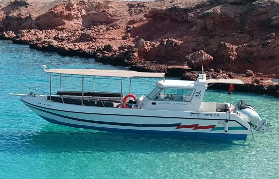36-foot Touring Bus private charter - Cruise Oman Coastline