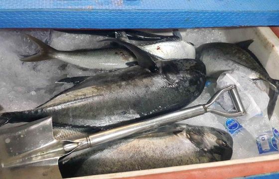 Best Fishing Charter in Phuket