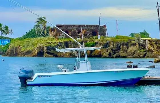 Private Bay/Sunset/Beach Time | Quality 25' Power Boat with Free Drinks/Food
