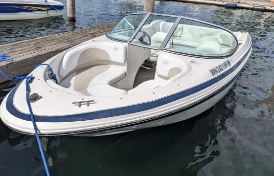 Cruise Lake Washington onboard an 18' Sea Ray Powerboat!