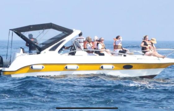 Private Speed Boat Whale watching Tour
