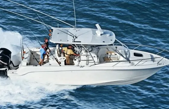 Boston Whaler Center Console Rental in Road Town, Tortola