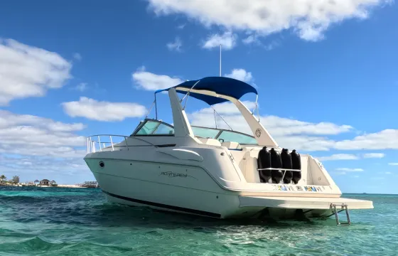 Swanky Private Escape to Rose Island for up to 10 lucky souls!