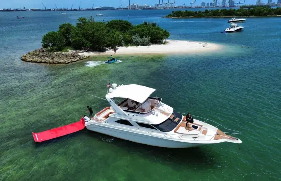 50' Sea Ray Flybridge Motor Yacht in Miami, Florida