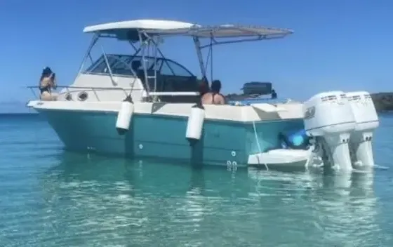 26’ Proline Center Console in Fajardo