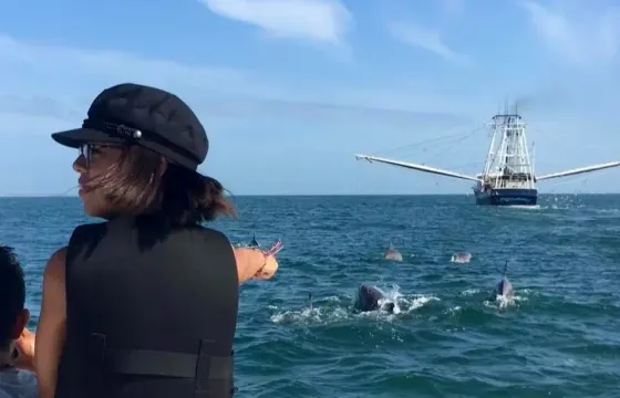 Dolphin Tours St Augustine