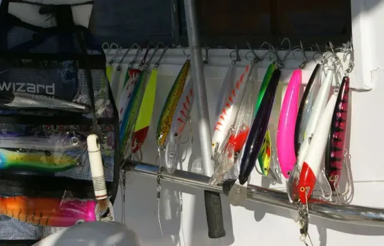 Enjoy Fishing in Red Sea Governorate, Egypt on 68' Sport Fisherman
