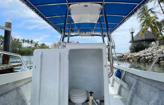 Nuevo Vallarta Fishing, Flipper III boat 28'