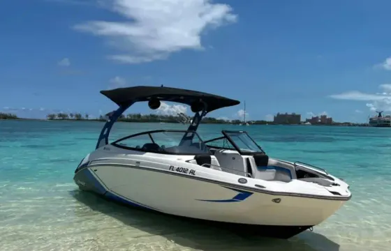 24ft Jetboat - Wake & Surf  - Free swimming with the pigs