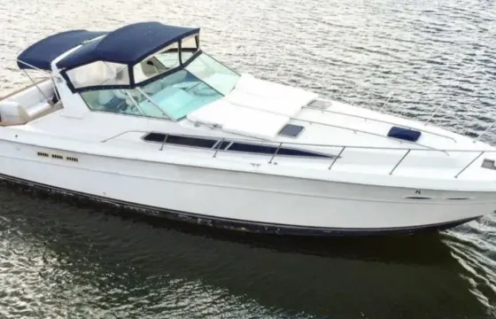 Catch a summer vibe on the water aboard 39' Sea Ray motor yacht