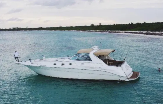 Sea Ray Sundancer 45ft in Playa del Carmen Up to 15 person