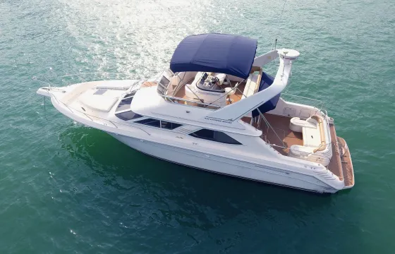 Double Decker 50ft Sea Ray Flybridge Yacht
