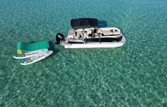 Crab Island excursions/dolphin sightings/sunset cruises in Destin, FL