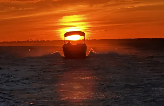 🌅 Private Sunset & Dolphin Cruise | Cape Coral | 🐬 Fuel Included
