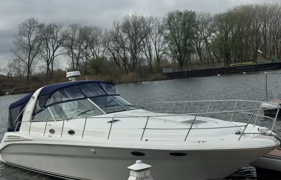 50ft Searay 400 Motor Yacht - Lake Michigan Chicago - Up to 13 Guests
