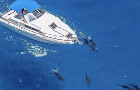 Come explore, the uncrowded south east coast of Oahu on your own 30 foot boat