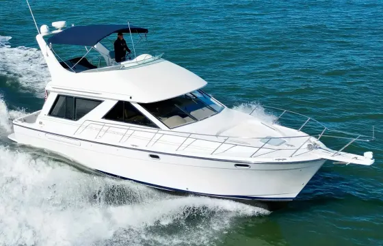 Lux 46' Flybridge Yacht In Downtown Toronto