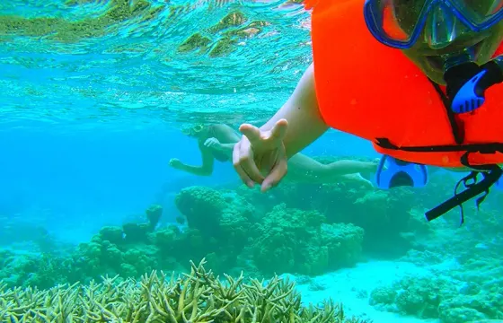 Lagoon Wildlife Adventure & Lunch on Private Islet