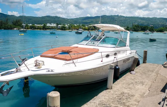 Enjoy cruising Montego Bay Coastline on a 30' SeaRay Yacht w/unlimited Rum Punch